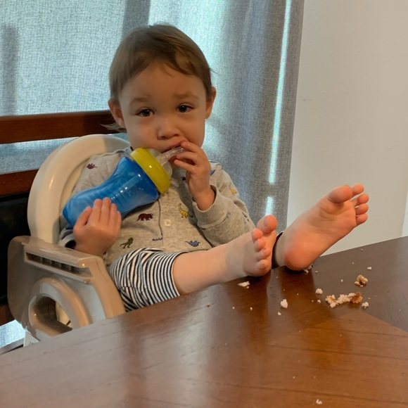 Meet your Posher, Misha - Picture 3 of 3